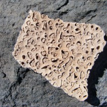 Stone with interesting pattern